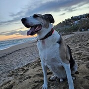 zeus-07-05-2026.jpg